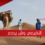 النفيعي وش يرجع ، أصل النفيعي من اي بلد