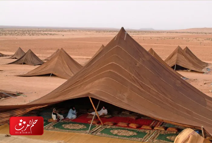 النفيعي وش يرجع ، أصل النفيعي من اي بلد