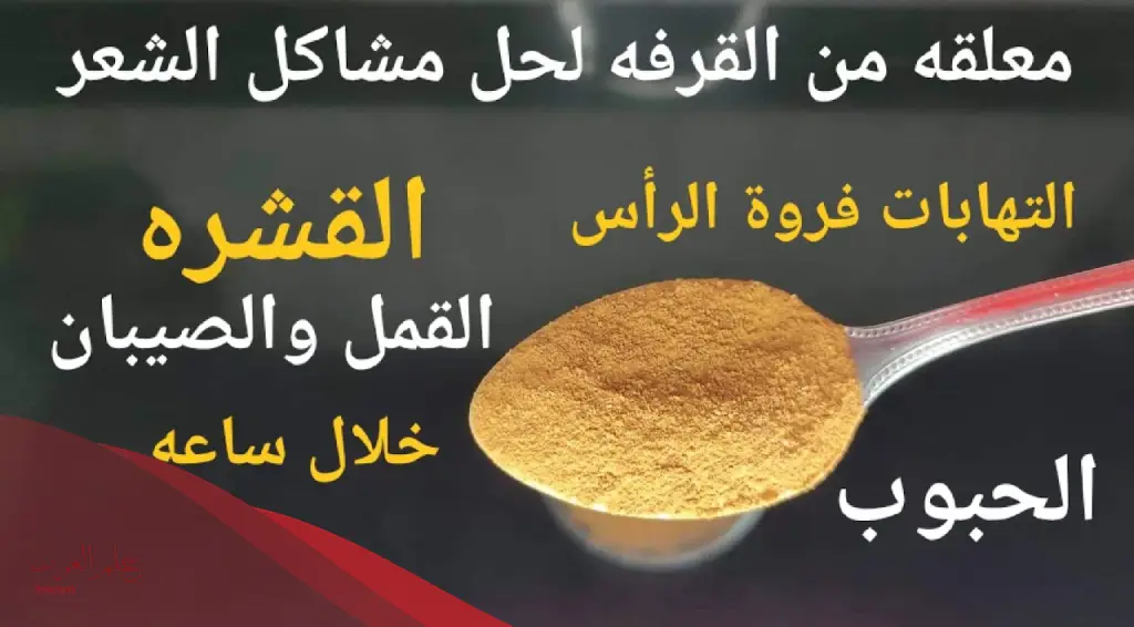 الفرق بين القشرة والصيبان