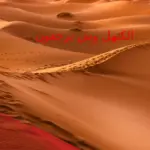 الكنهل وش يرجعون .. شجرة عائلة الكنهل