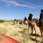 بن بتلاء وش يرجع .. ما هو أصل قبيلة بني مالك