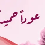 اذا احد قالي عودا حميدا وش ارد