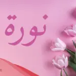 تفسير حلم اسم نورة في المنام لابن سيرين