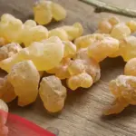 كم مدة صلاحية منقوع لبان الذكر .. 5 معلومات مهمة عن لبان الذكر
