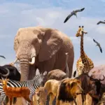 الحيوانات الدالة على الحسد في المنام