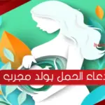 دعاء الحمل بولد مجرب .. دعاء انجاب المولود الذكر او الولد مكتوب