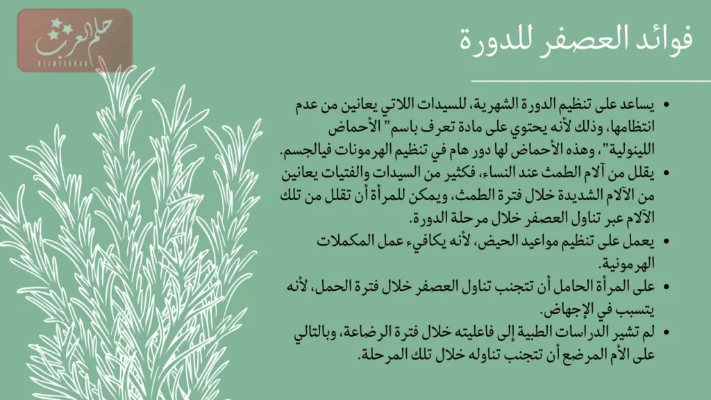 تجربتي مع العصفر وطريقة تحضيره