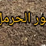 تجربتي مع بخور الحرمل وأفضل وقت لعمل التبخيرة