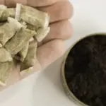 تجربتي مع ترك التمباك الأعراض بعد الترك والفوائد
