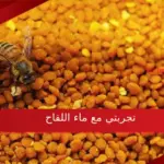 تجربتي مع ماء اللقاح فوائده وأضراره وطريقة استخدامه