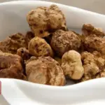 تفسير حلم جمع الفقع في المنام للعزباء لابن سيرين
