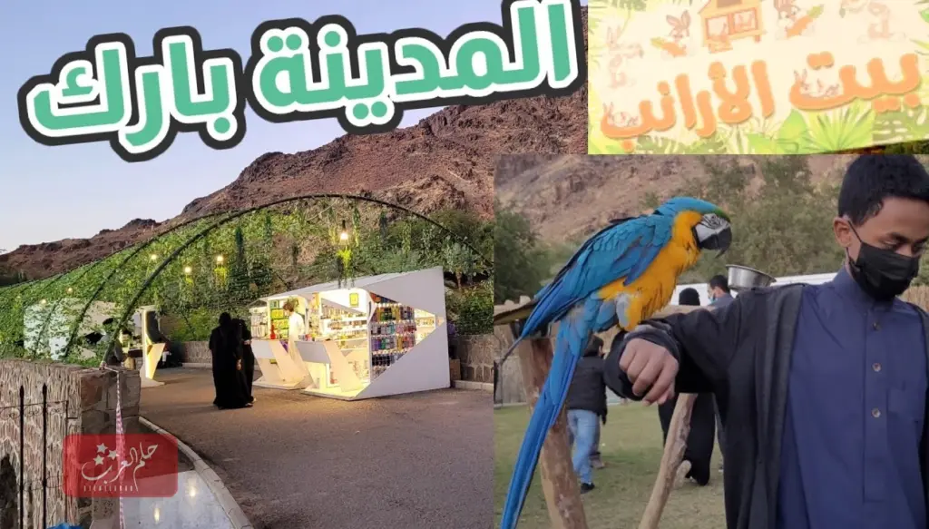 احلى 10 اماكن عوائل في المدينة المنورة مع الصور