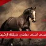 معنى اعلى مافي خيلك اركبه واقوى رد على أعلى مافي خيلك اركبه