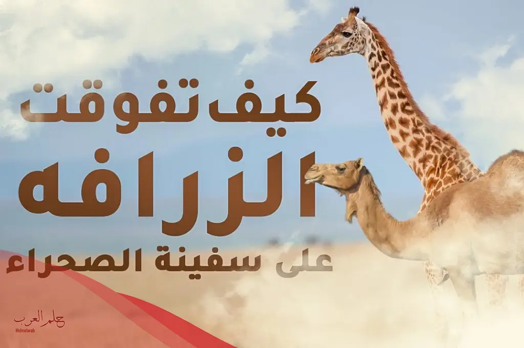 من يتحمل العطش اكثر من الجمل