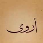 دلع اسم اروى ، اجمل تدليع اسم اروى بالانجليزي وأسرار شخصيتها