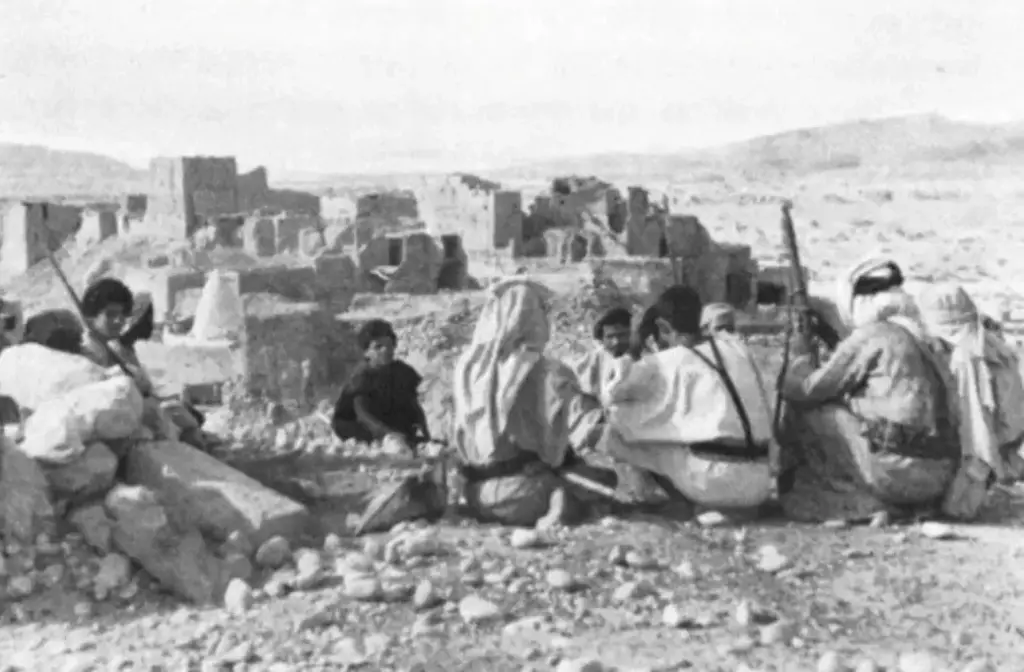 التيماني وش يرجع ومعلومات عنهم