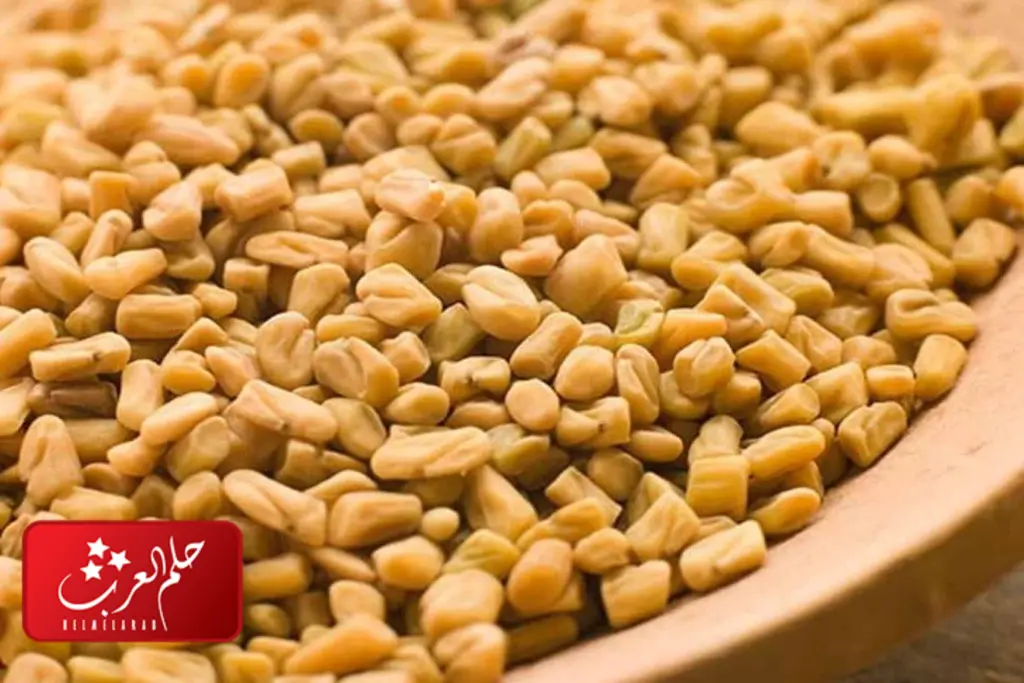 تجربتي مع لحمية الرحم وكيفية التخلص منها