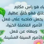 عبارات عن الستر والحشمه