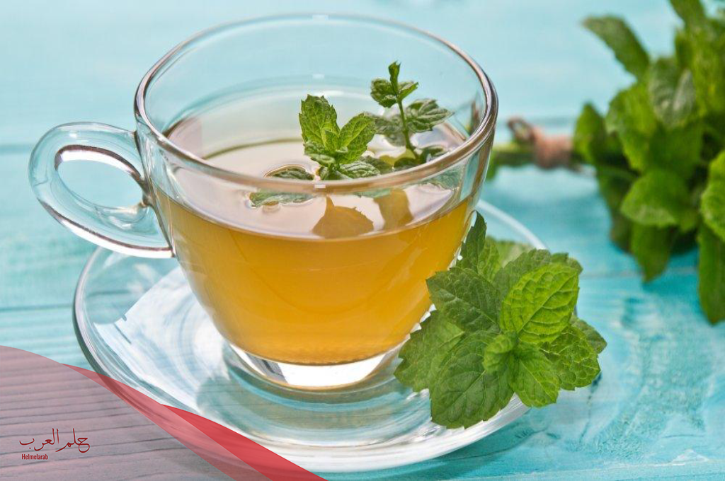 تجربتي مع شرب النعناع يوميا فوائده وأضراره