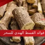 فوائد القسط الهندي للسحر والمس والعين وكم مدة شربة