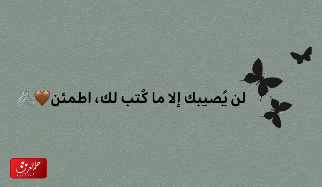 كلام عن الواقع الذي نعيشه مؤثر جدا