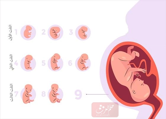 هل رفس الجنين في المهبل في الشهر التاسع من علامات الولادة
