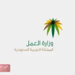 ما هي رموز المهن في مكتب العمل وأسماء المهن الموجودة