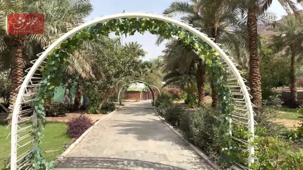 احلى 10 اماكن عوائل في المدينة المنورة مع الصور