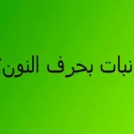 إسم نبات بحرف ن ..أسماء نباتات تبدأ بحرف النون