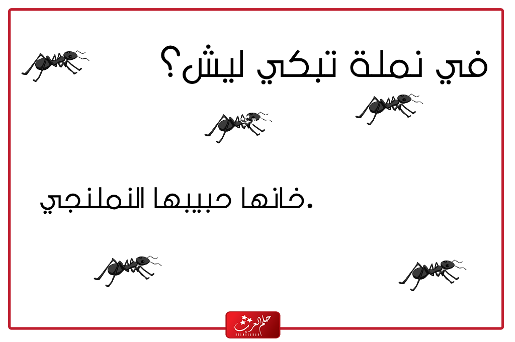 نكت عن النمل تموت ضحك 2024