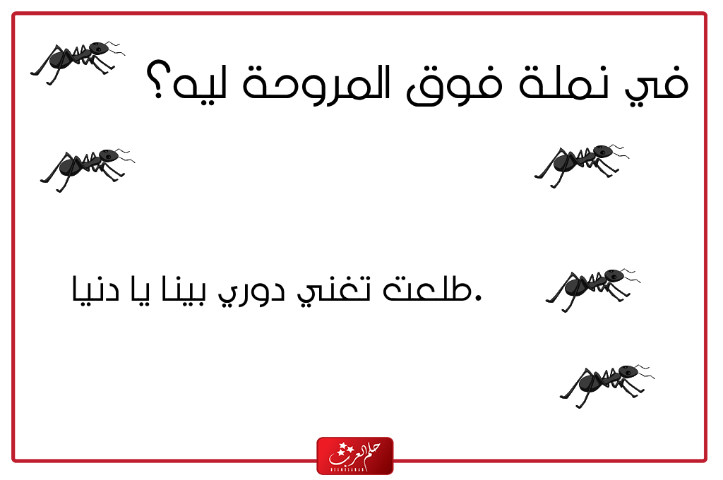نكت عن النمل تموت ضحك 2024