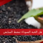 هل الحبة السوداء تنشط المبايض وتهيئ الرحم للحمل