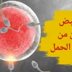 هل نبض الرحم من علامات الحمل؟