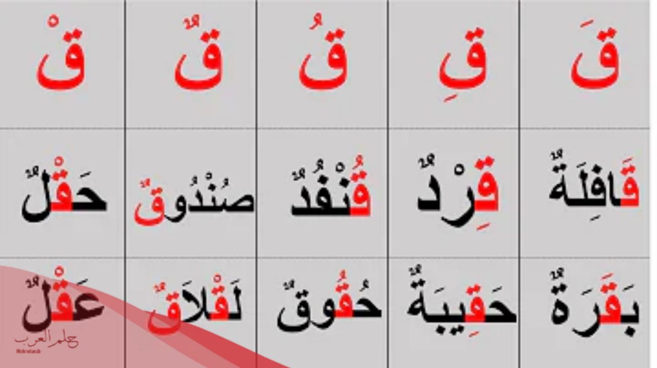 فاكهة بحرف ق، اسم 5 فواكه بحرف القاف