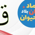 فاكهة بحرف ق، اسم 5 فواكه بحرف القاف