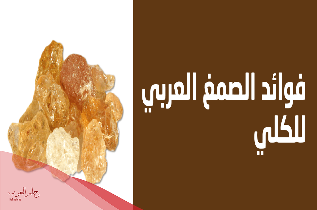 تجربتي مع الصمغ العربي للكلى، فوائد واضرار وطريقة استخدام الصمغ العربي