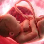اذا توقف نبض الجنين هل ينزل دم