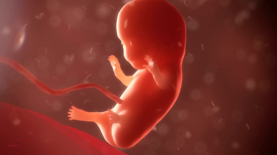 اذا توقف نبض الجنين هل ينزل دم