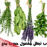 اعشاب تبطل مفعول حبوب منع الحمل بسرعة
