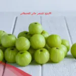الاملج للشعر جابر القحطاني وكيفية استخدامه