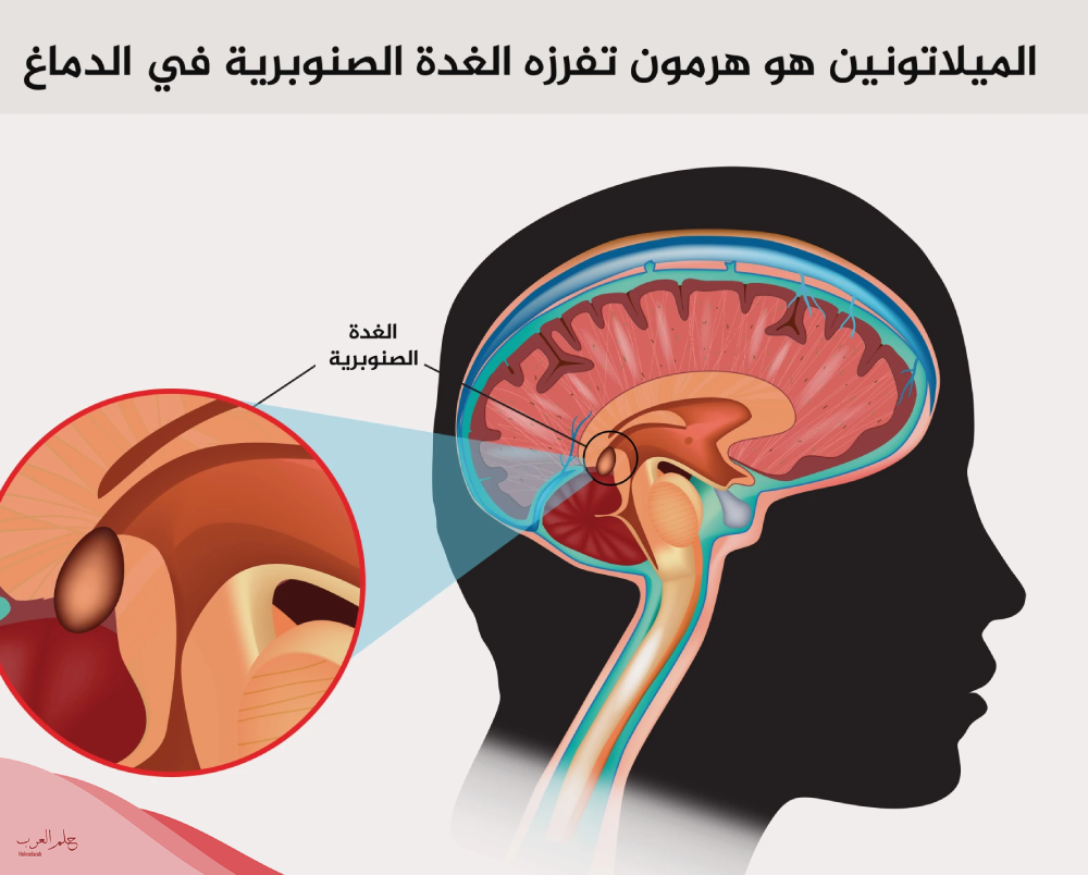 تجربتي مع حبوب الميلاتونين علاج الارق والإكتئاب
