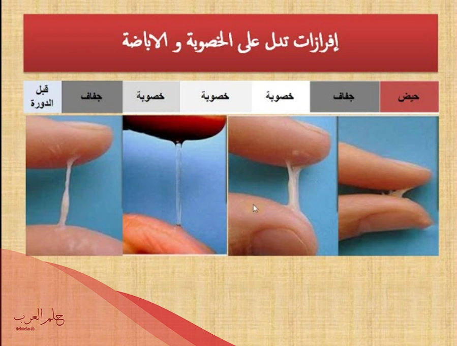 توقف الافرازات بعد التبويض على ماذا يدل