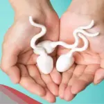 هل يجوز للرجل بلع ماء المرأة