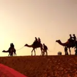 البركاتي وش يرجع .. اصل قبيلة البركاتي من اي بلد
