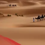 السحيباني وش يرجع.. أصلهم ونسبهم واماكن تواجدهم
