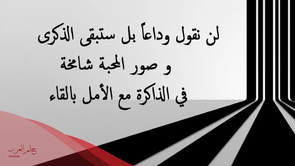 عبارات للصديقات قصيرة .. كلام حلو عن صديقاتي 2023
