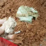 10 احلام تدل على السحر المرشوش
