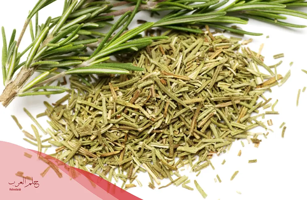 تجربتي مع عشبة المدينة للحمل