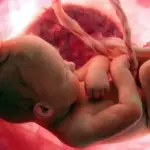 الجنين الذكر في الشهر التاسع حركته الطبيعية وأوضاعه في الرحم