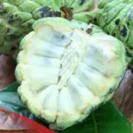 تجربتي مع فاكهة القشطه وأبرز الامراض التي تقضي عليها